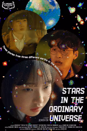 Stars in the Ordinary Universe's poster