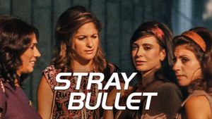 Stray Bullet's poster