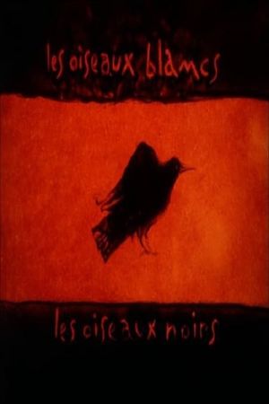 Les oiseaux blancs, les oiseaux noirs's poster