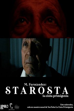 STAROSTA's poster