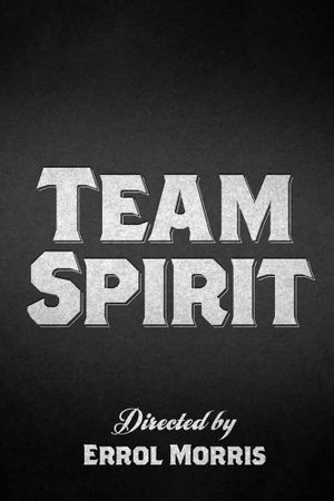 Team Spirit's poster