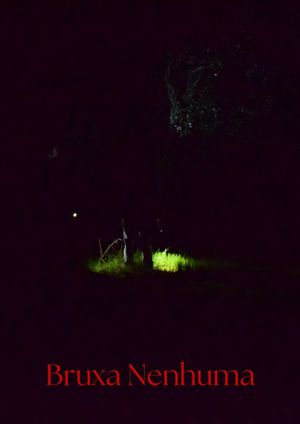 No Witch's poster