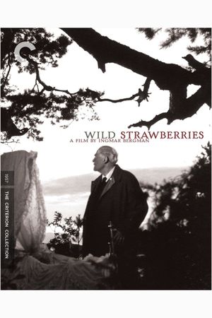 Wild Strawberries's poster