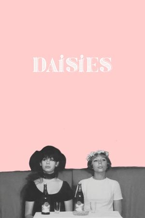 Daisies's poster