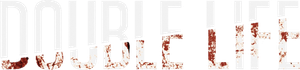 Double Life's poster