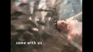 How to Be a Recluse's poster