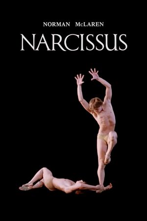 Narcissus's poster