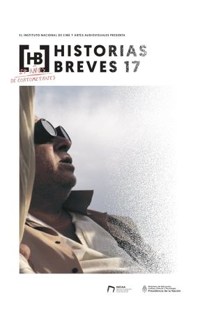 Historias Breves 17's poster