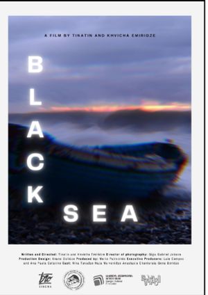 Black Sea's poster