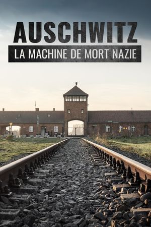 Auschwitz, la machine de mort nazie's poster