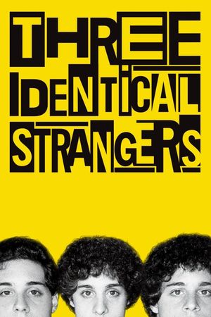 Three Identical Strangers's poster