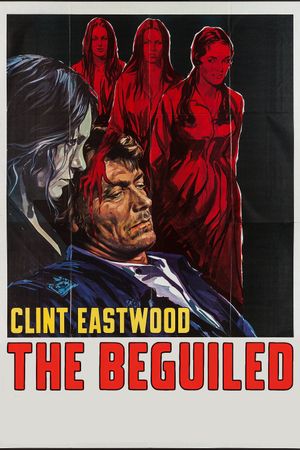 The Beguiled's poster
