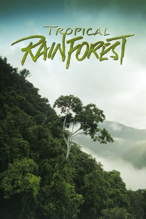 Tropical Rainforest's poster image