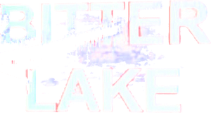 Bitter Lake's poster