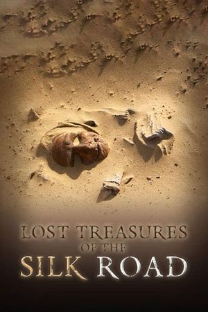 Lost Treasures of the Silk Road's poster