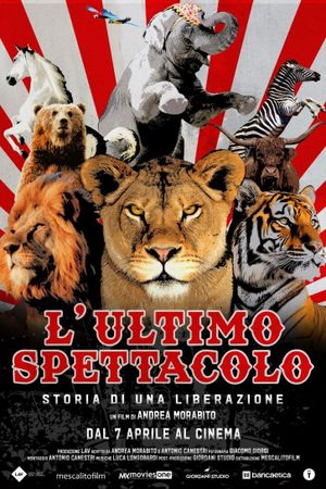 L'ultimo spettacolo's poster