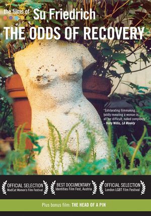 The Odds of Recovery's poster