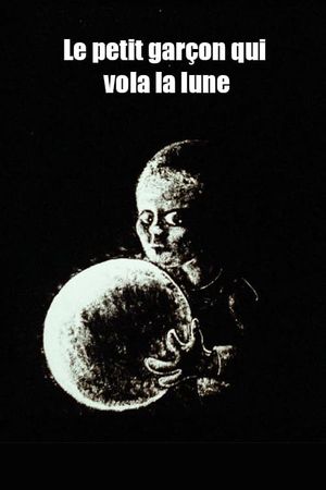 Le petit garçon qui vola la lune's poster