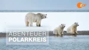 Abenteuer Polarkreis's poster