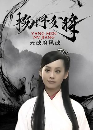 杨门女将之天波府风波's poster