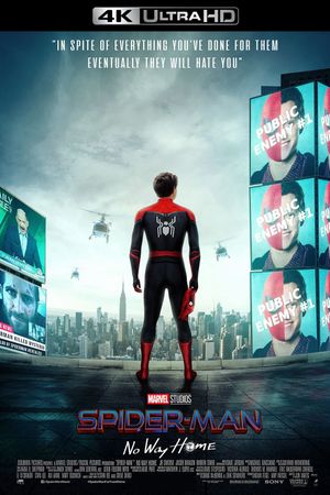 Spider-Man: No Way Home's poster