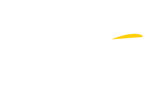 Celebrity Marriage's poster