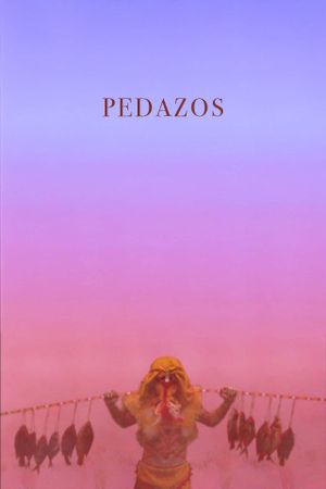 Pedazos's poster image