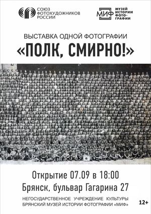 Regiment, Stand to Attention!'s poster