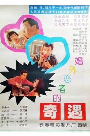 婚外恋者的奇遇's poster