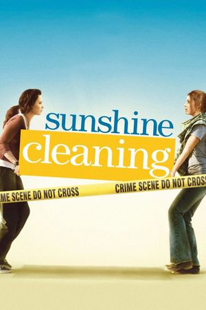 Sunshine Cleaning's poster image