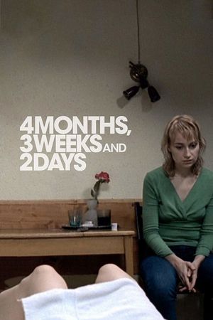 4 Months, 3 Weeks and 2 Days's poster