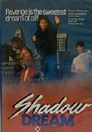 Shadow Dreams's poster