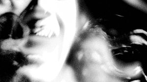 In the Gray's poster