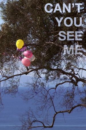 Can't You See Me's poster