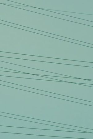 Out of Jungle's poster