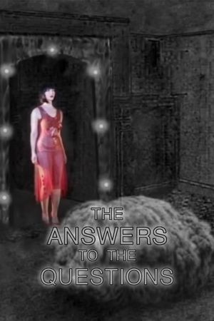 The Answers to the Questions's poster
