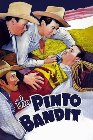 The Pinto Bandit's poster