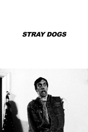 Stray Dogs's poster