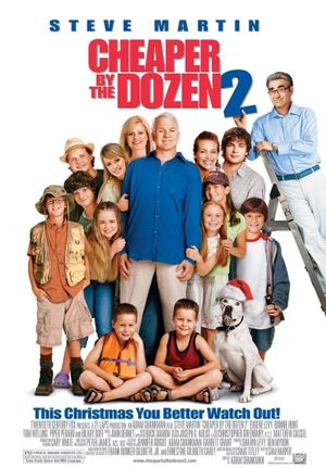 Cheaper by the Dozen 2's poster