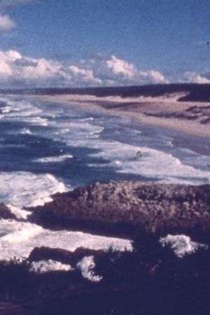 Ocean at Point Lookout's poster