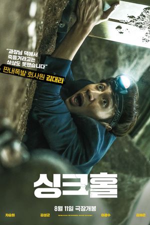 Sinkhole's poster