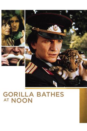 Gorilla Bathes at Noon's poster