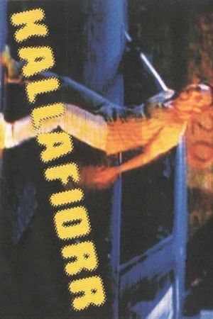 Kallafiorr's poster