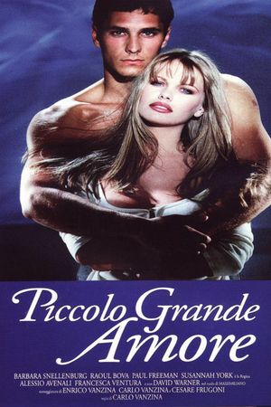Piccolo grande amore's poster image