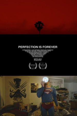 Perfection Is Forever's poster