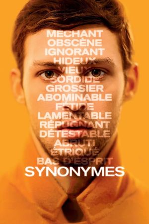 Synonyms's poster
