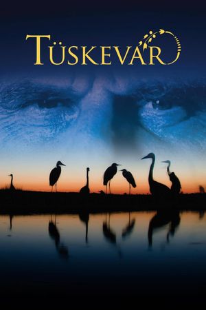 Tüskevár's poster