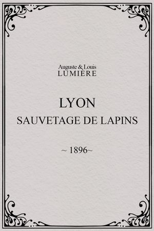 Lyon : sauvetage de lapins's poster