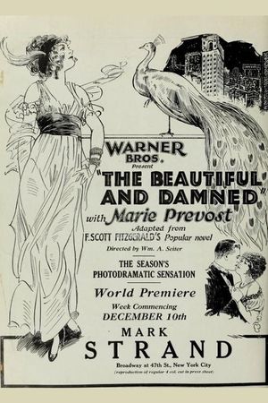 The Beautiful and Damned's poster image