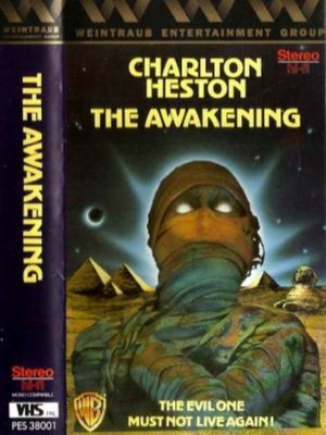 The Awakening's poster